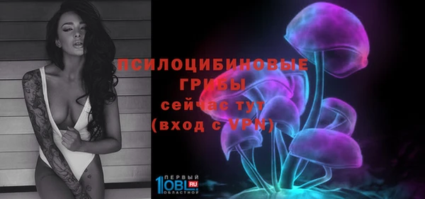 таблы Лиски