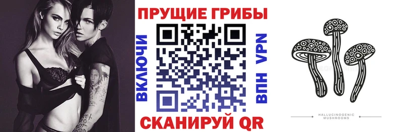 Псилоцибиновые грибы GOLDEN TEACHER  Нелидово 